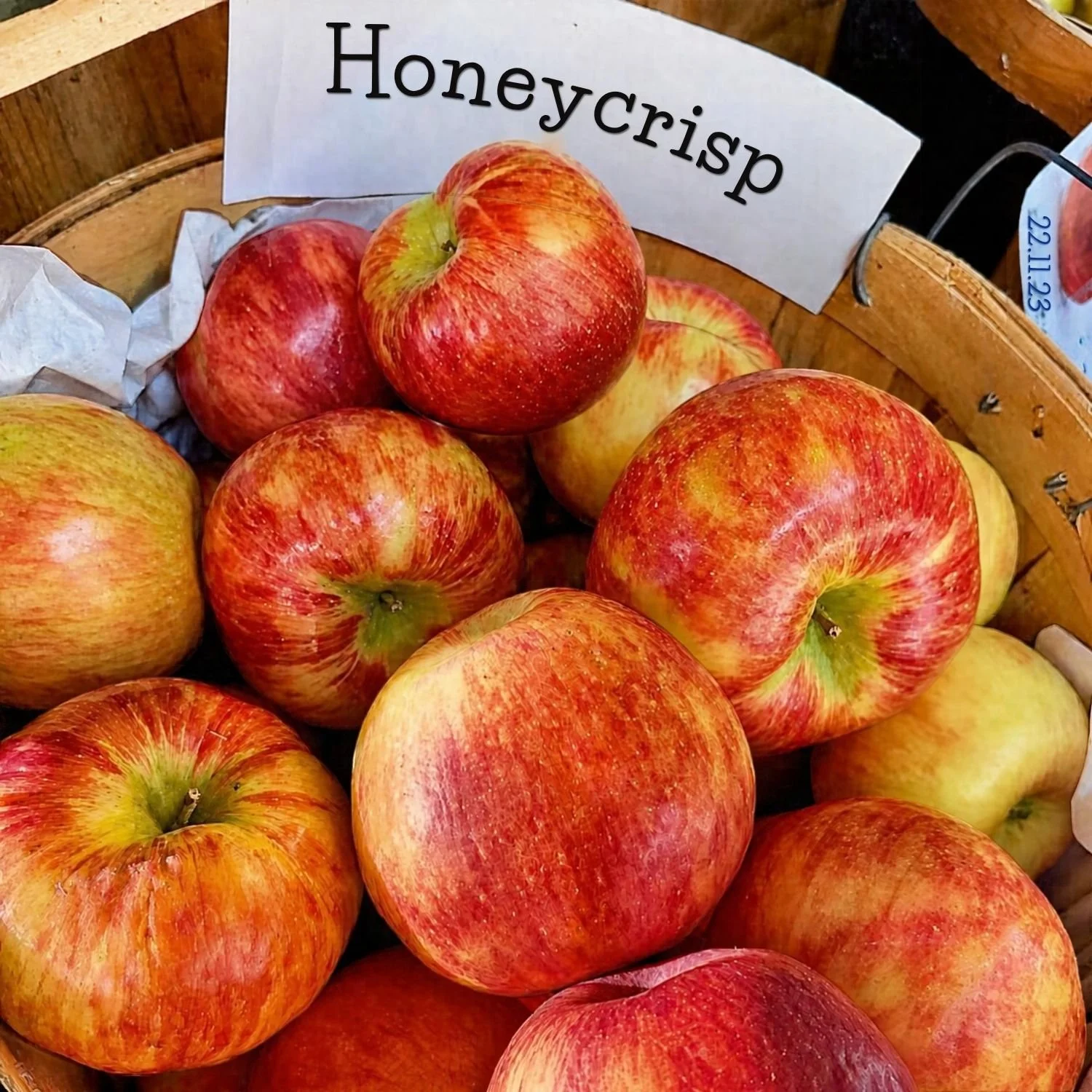 Why Everyone Loves Honeycrisp Apples
