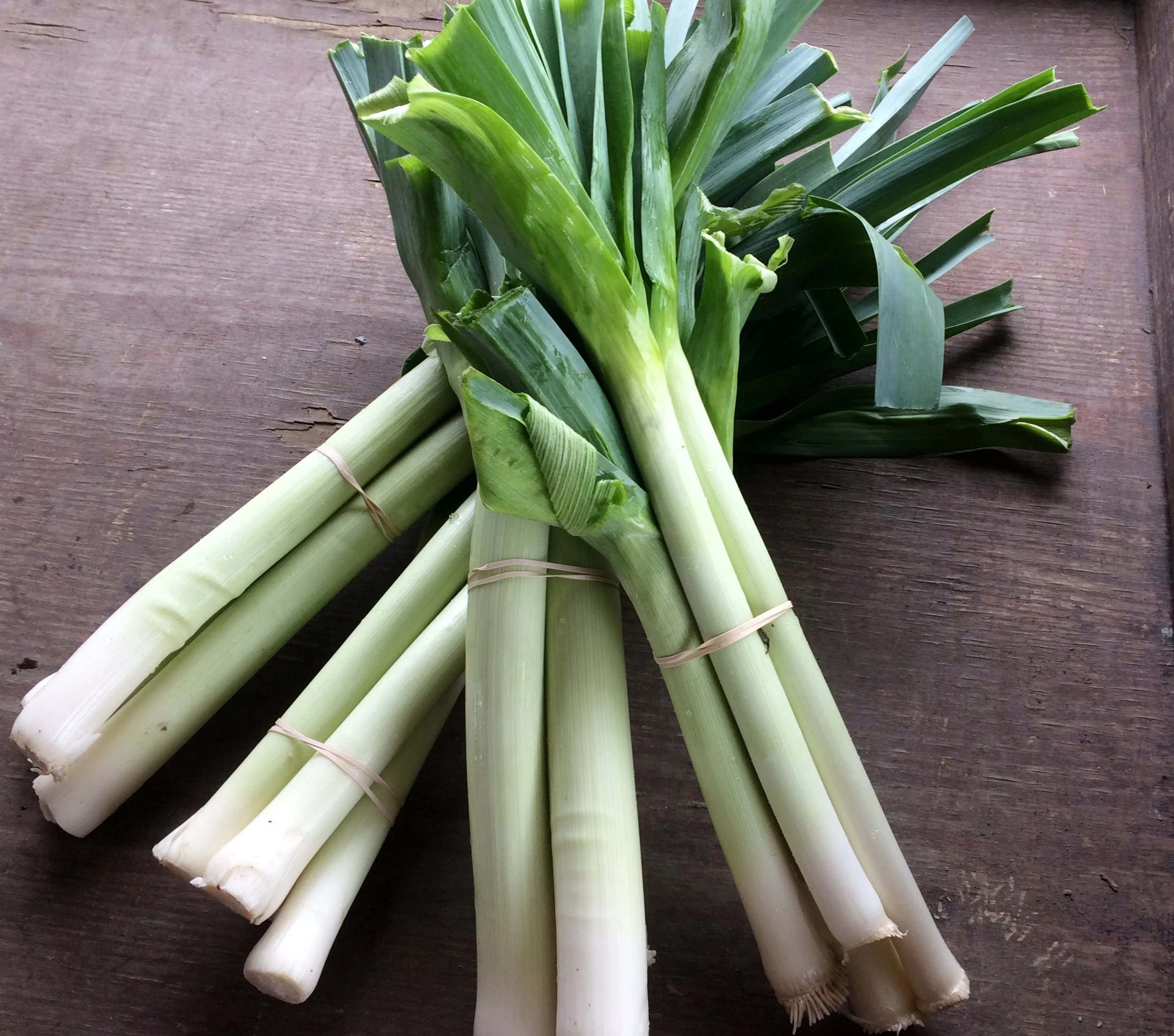 Discover Leeks: From Garden to Table