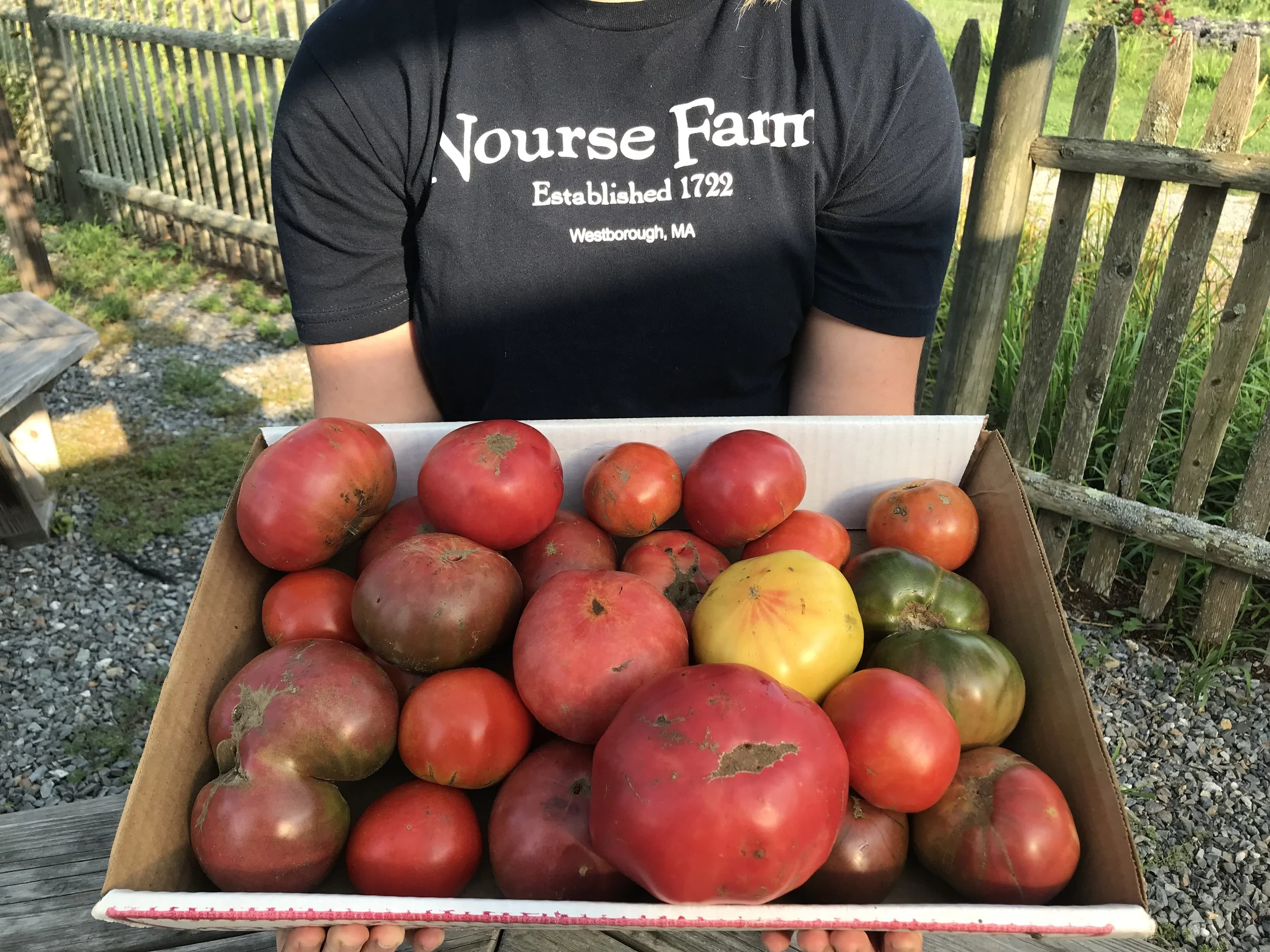 From the Farm to the Community: Supporting the Westborough Food Pantry