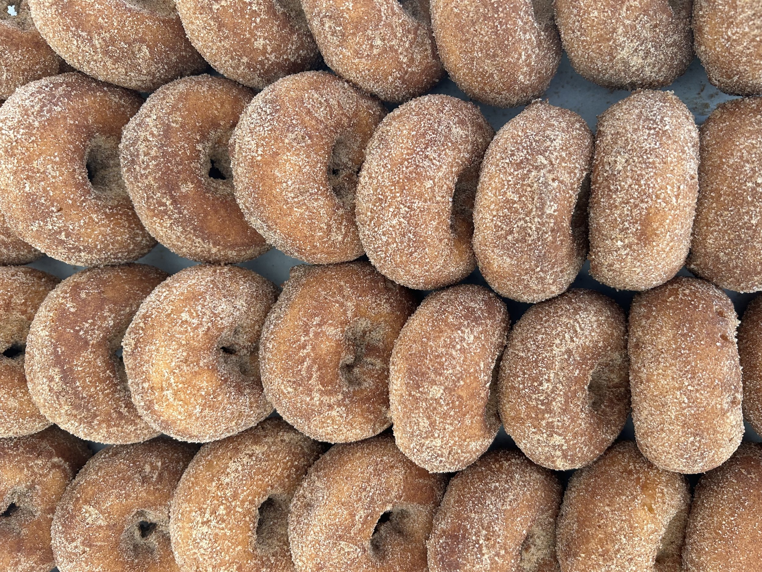 horizontal donuts.jpg