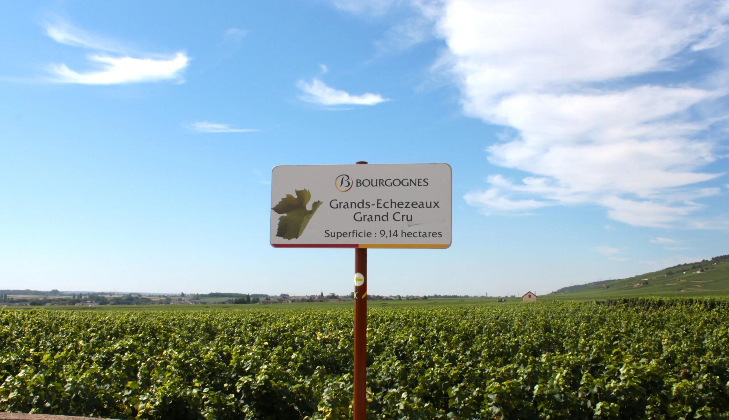 [飲食] 飲酒 、品酒 (一)