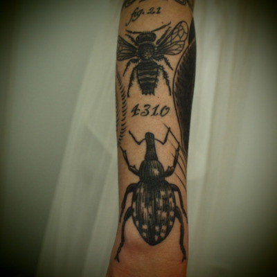 blackwhite,bug,tattoo,type-4d88f255d1d86fcbe1ae6c3081d0f60c_h.jpg