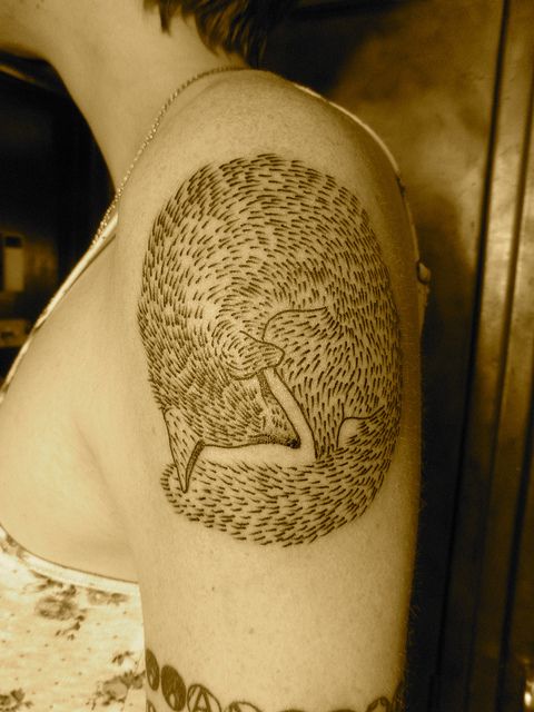 liam-sparkes-tattoo-curled-fox-on-upper-arm.jpg