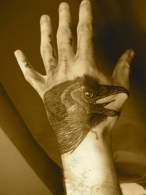 liam-sparkes-tattoo-crow-on-hand.jpg