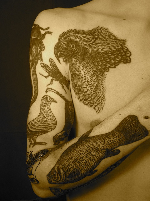 liam-sparkes-tattoo-vivid-fauna-arm-sleeve.jpg