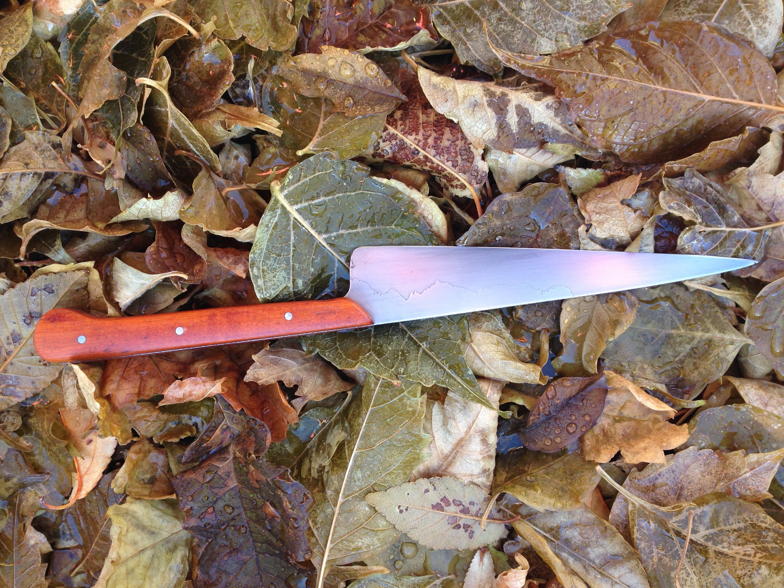 IMG_6852.JPG
