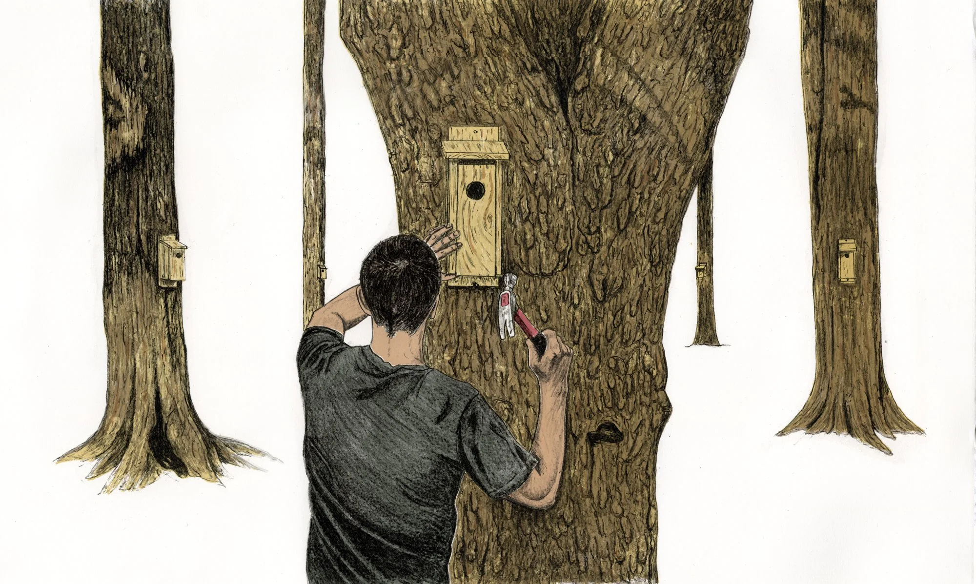 The Landlord
litho + screenprint