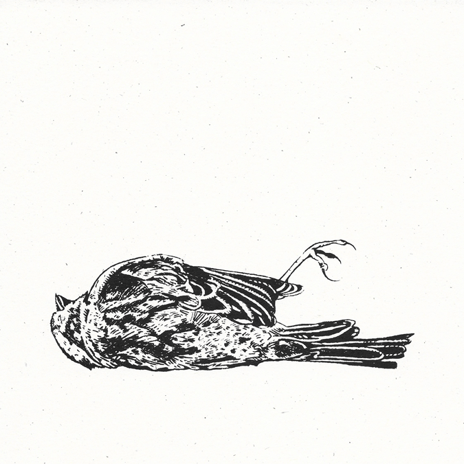 WhatWeBecome-animation.gif