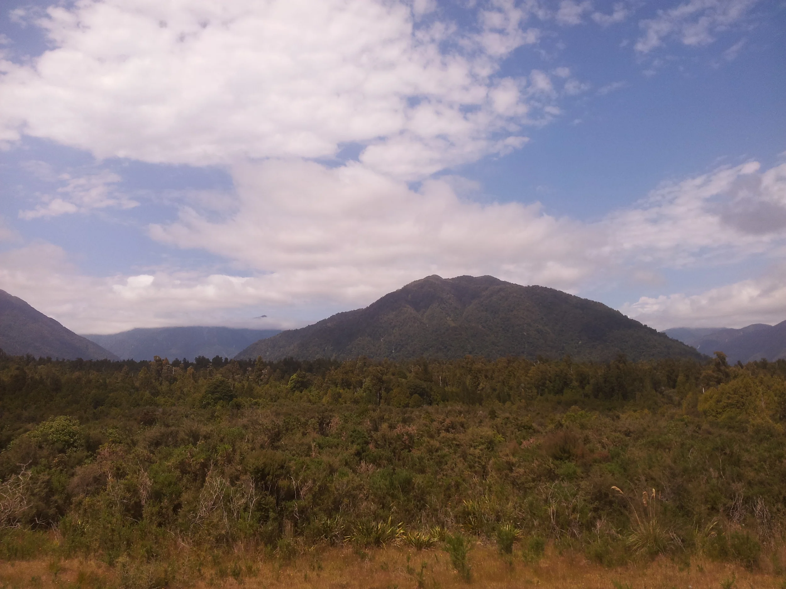 IMG_20130210_132650.jpg