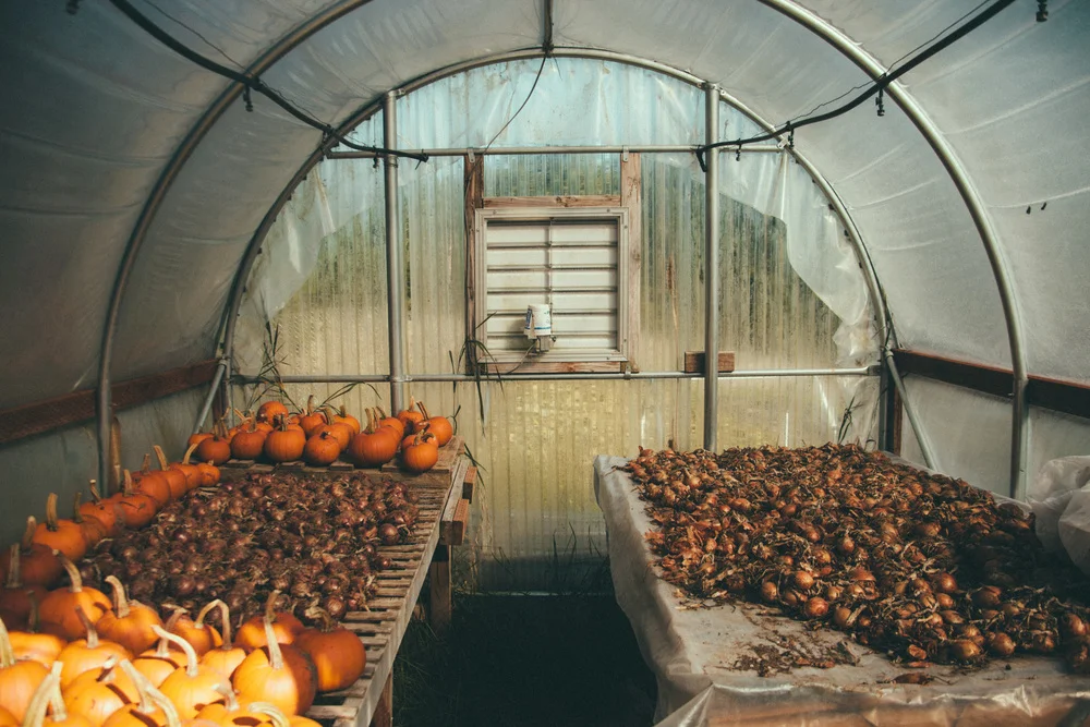 11,+October+2013.jpg