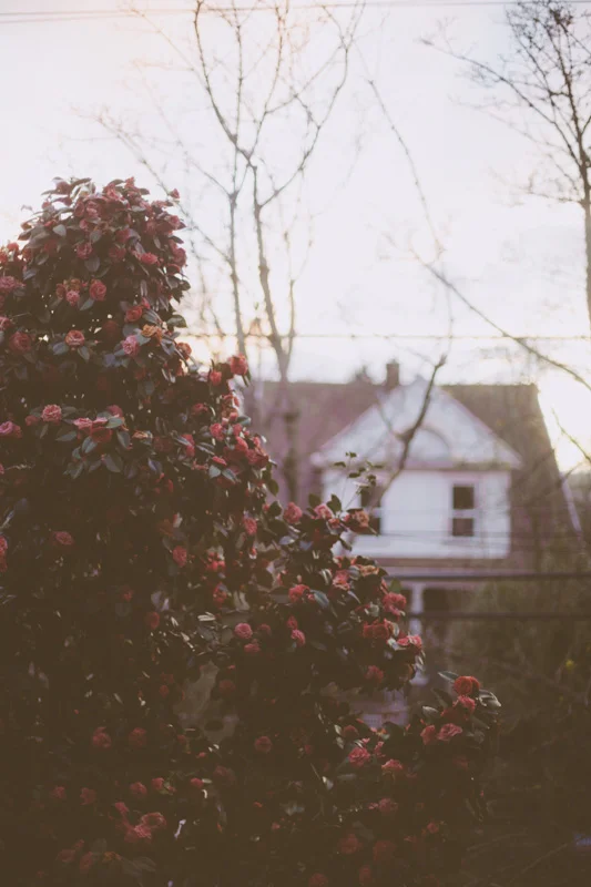 tumblr_n2ri4qwRVA1qhf8epo1_1280.jpg
