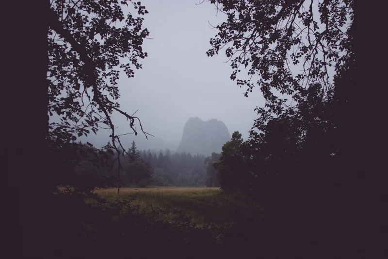 tumblr_n7cbs6to9O1qhf8epo1_1280.jpg