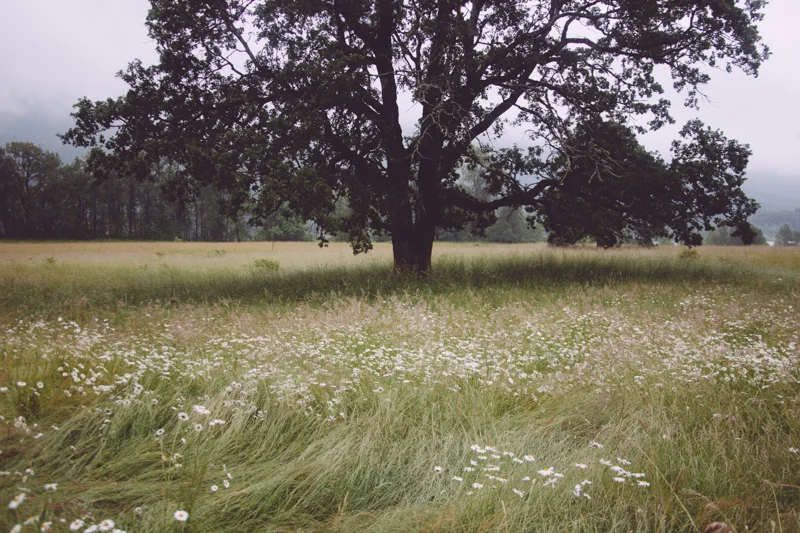 tumblr_n7k0t7bcIq1qhf8epo1_1280.jpg