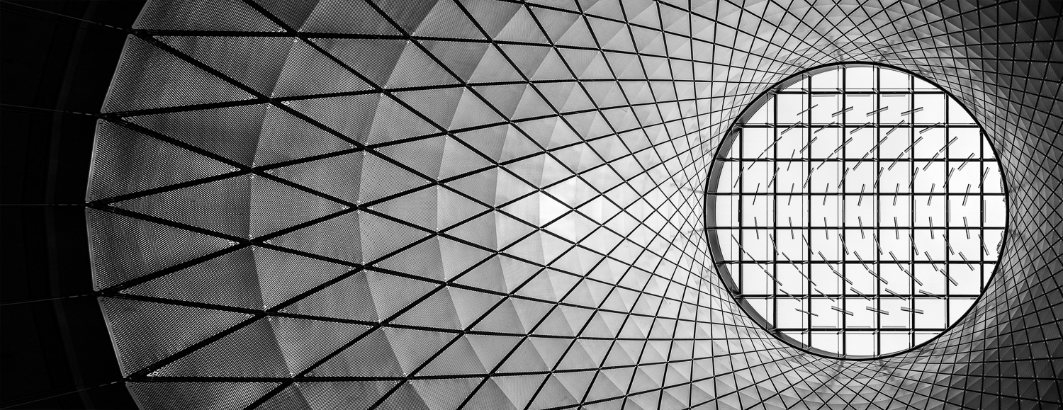 The Oculus