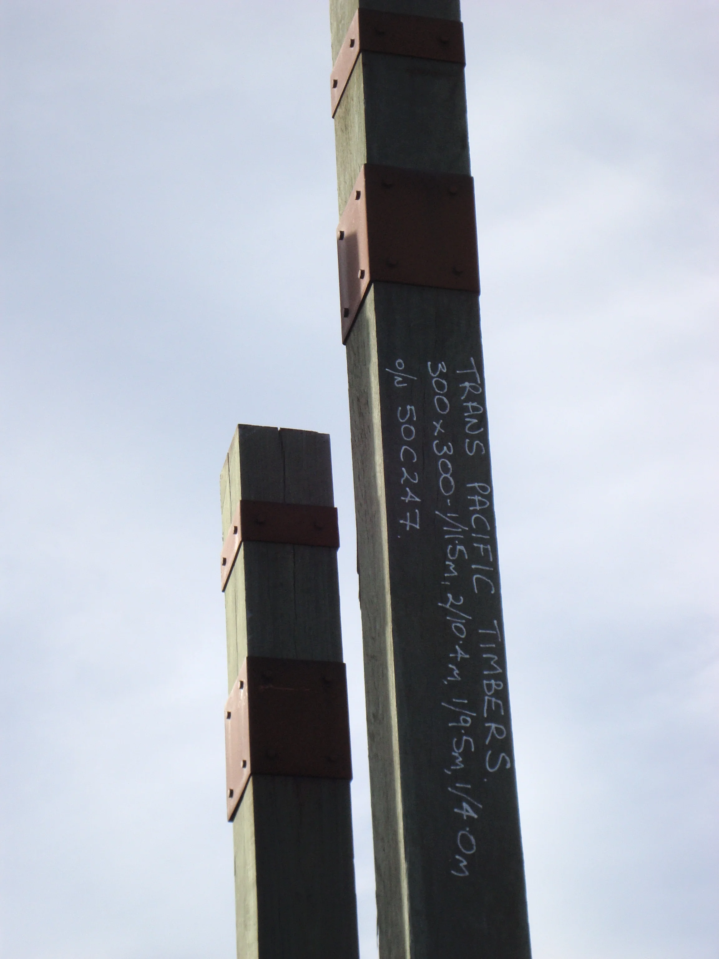 June Amberley timbers.jpg