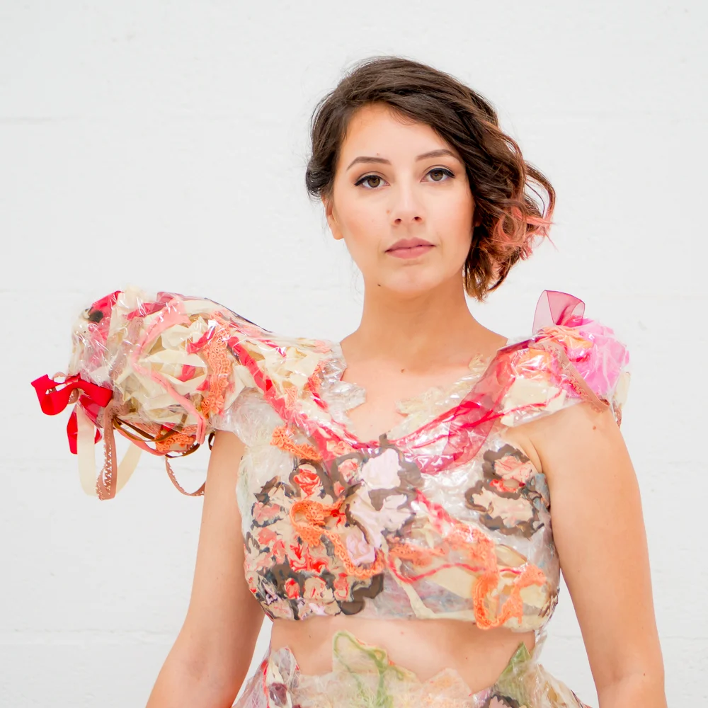 Meat Dress Cover-01.jpg
