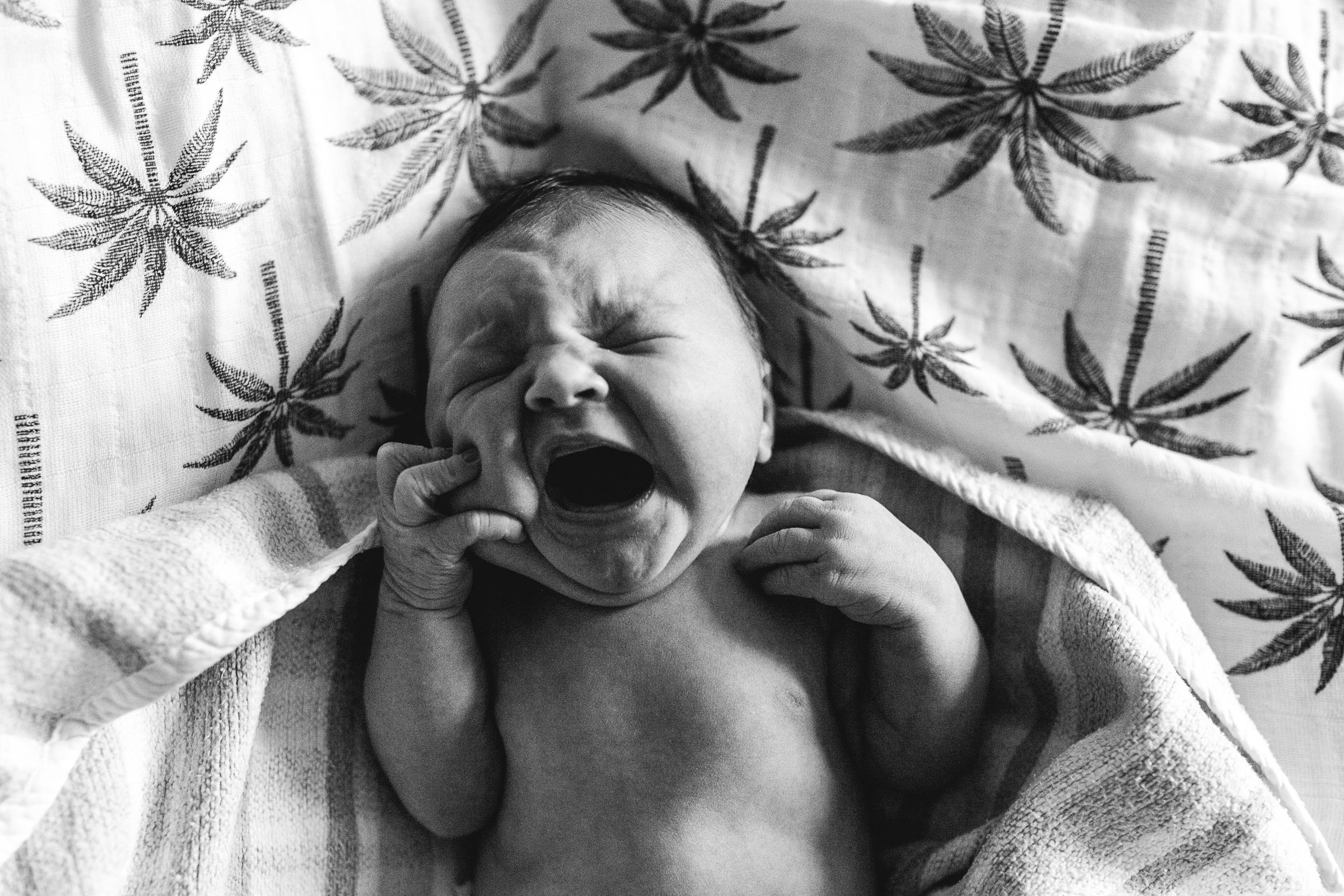 newborn.photography.baby.jaya.online.1-47.jpg