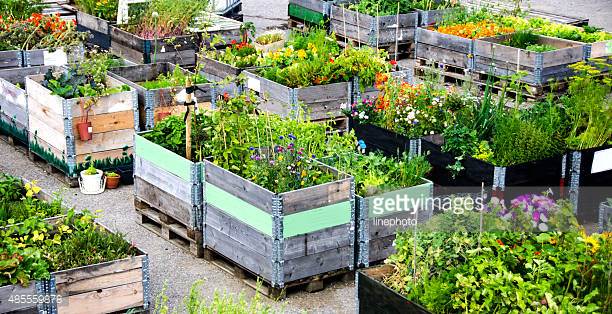 Photo by linephoto/iStock / Getty Images