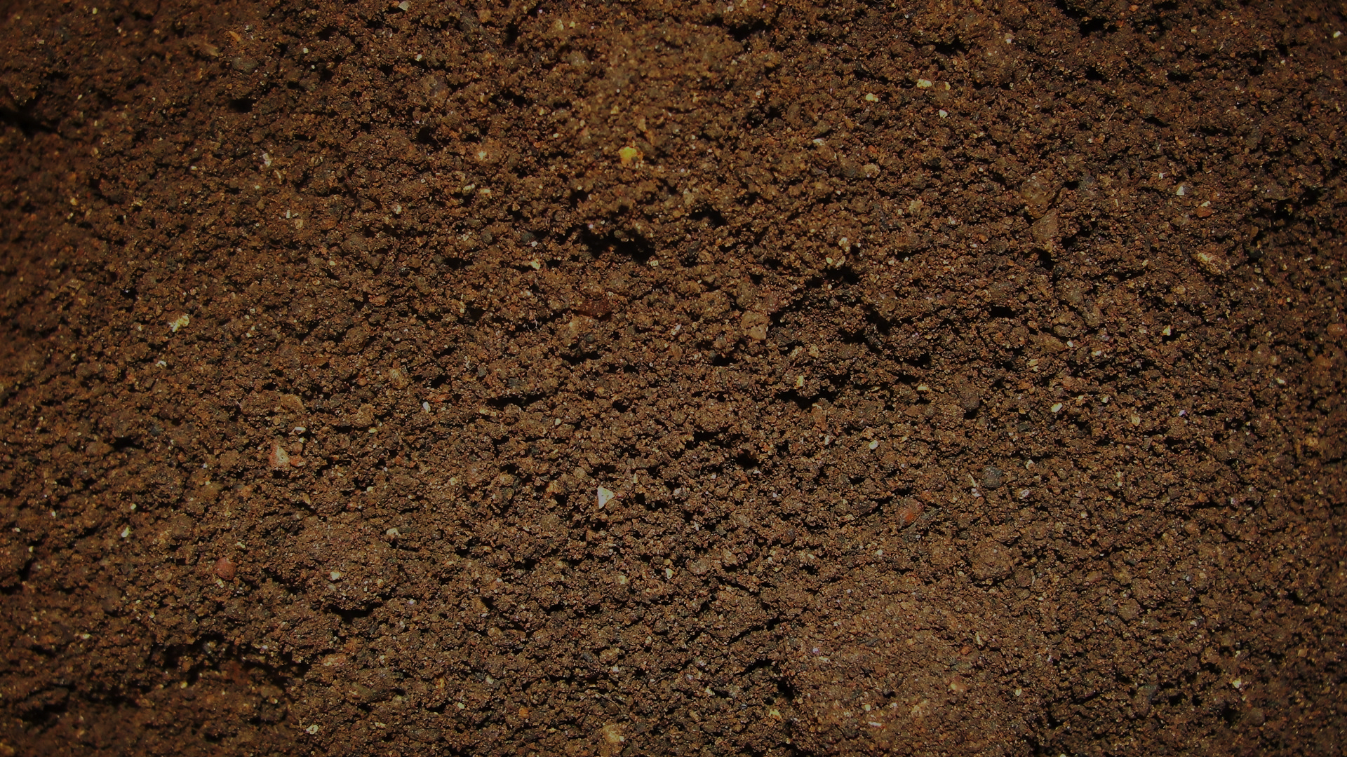 Soil.jpg