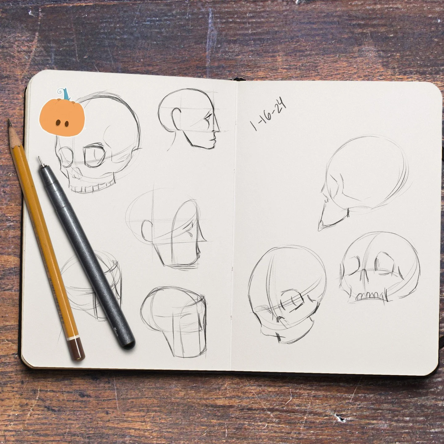 well it is not daily but at least I got this one done. Saw one artist recommend studying the human skull as an exercise. Less stress on the facial fetures