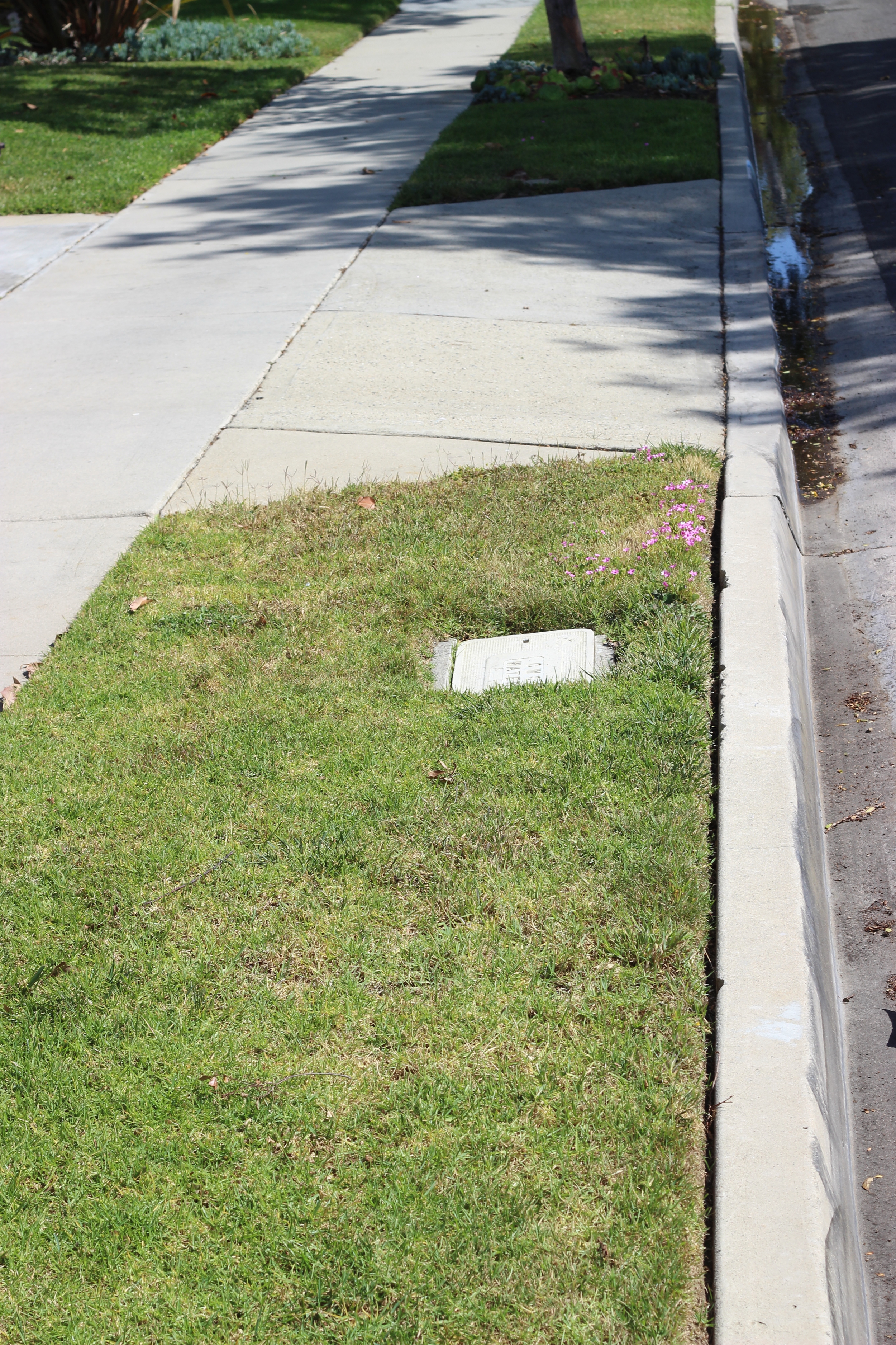 The water meter is most often by the street. Rarely, it can be at the back of the property.