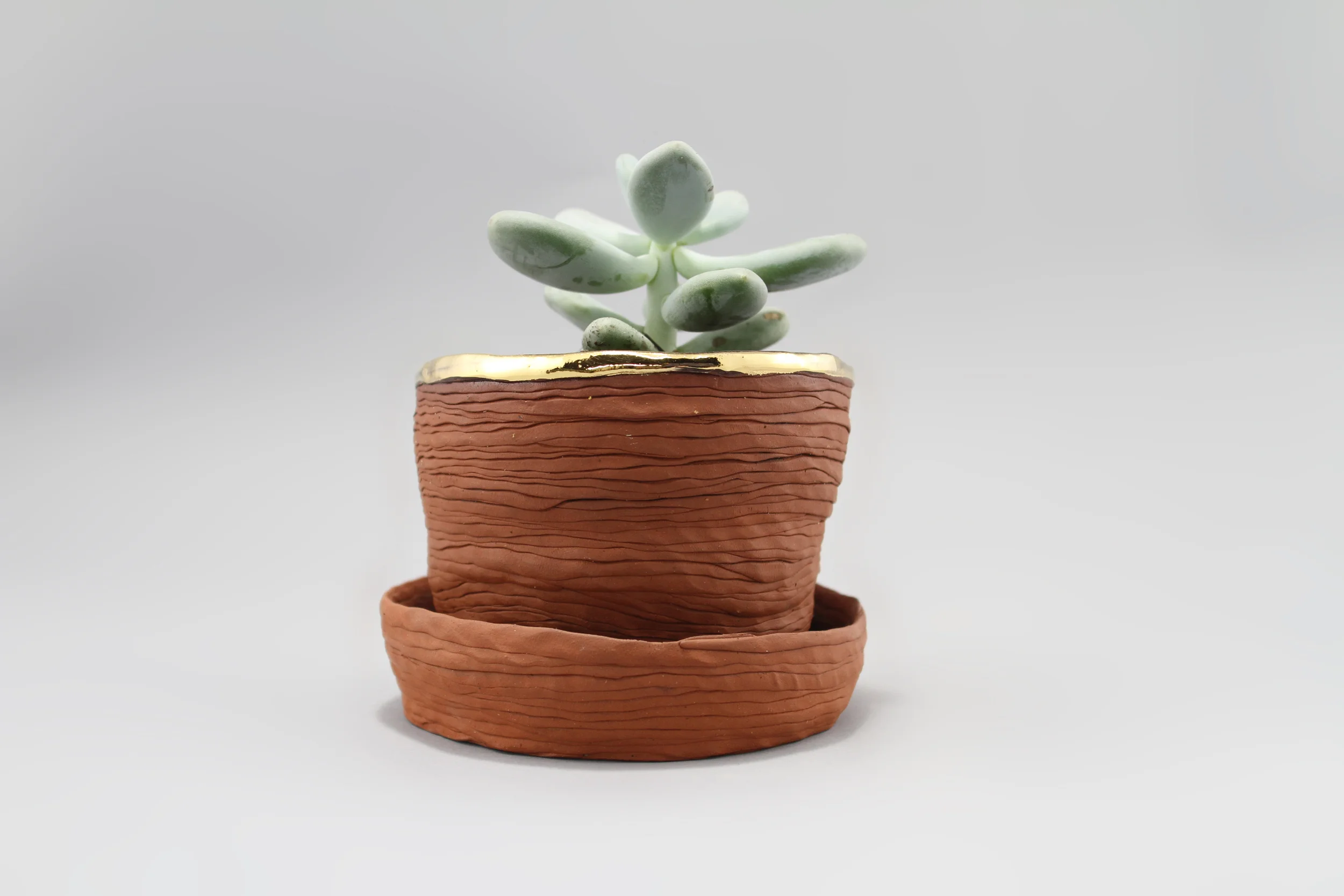 small planter