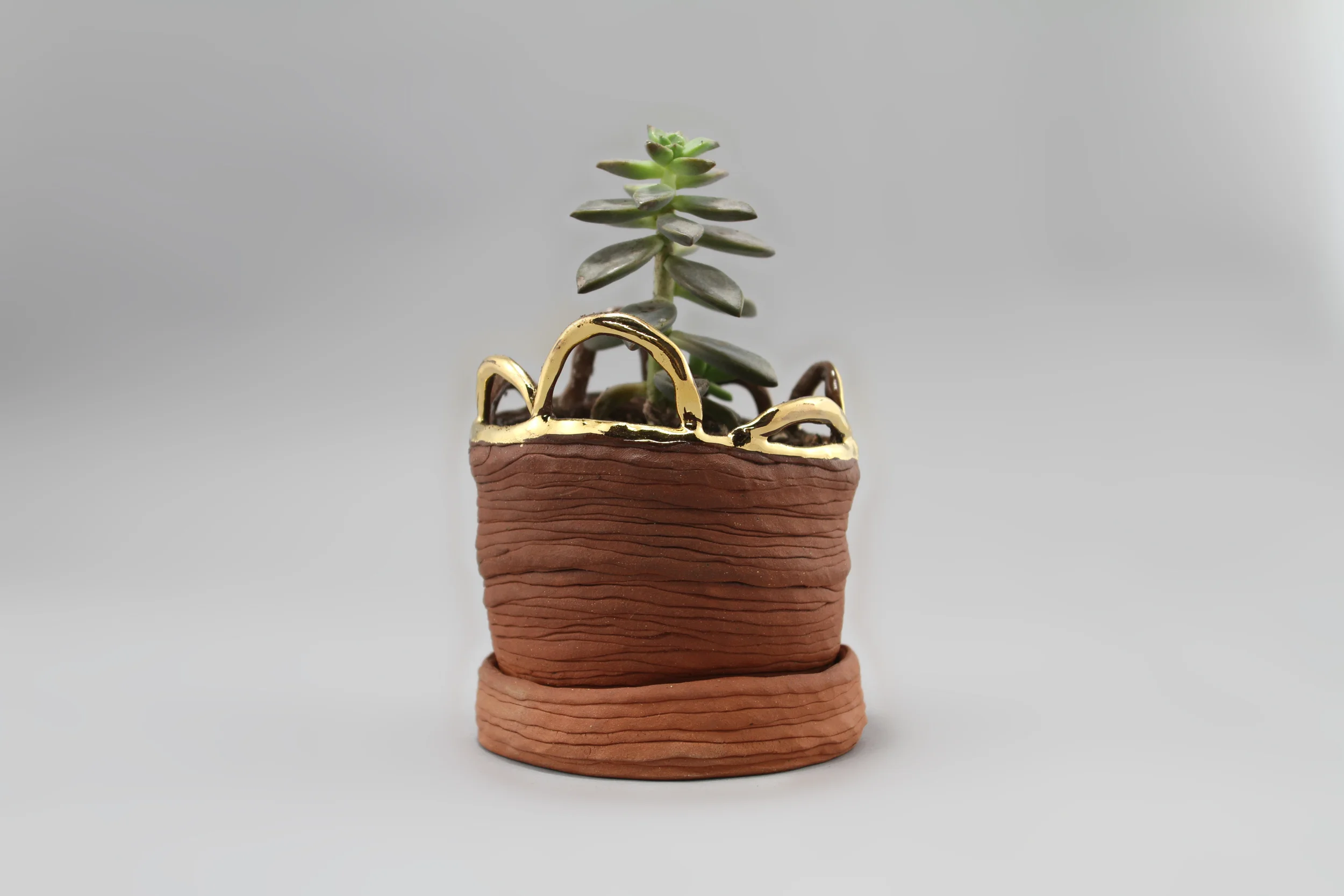 small planter