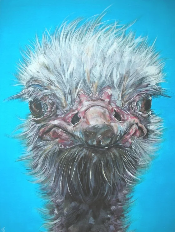 ostrich