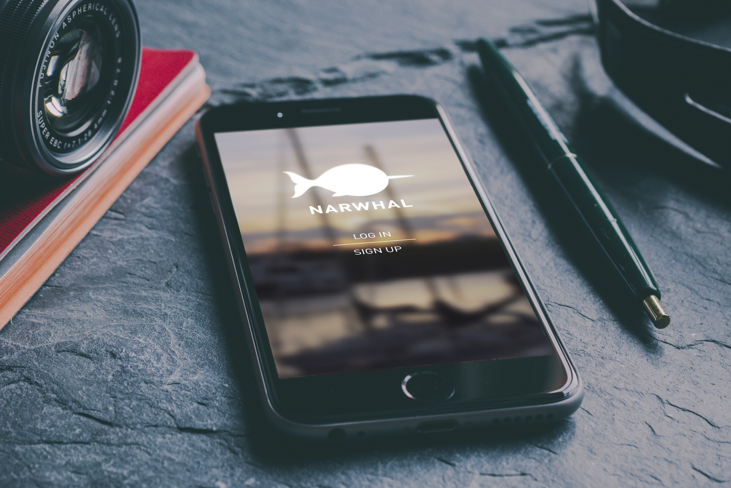 opening screen_mockup.jpg