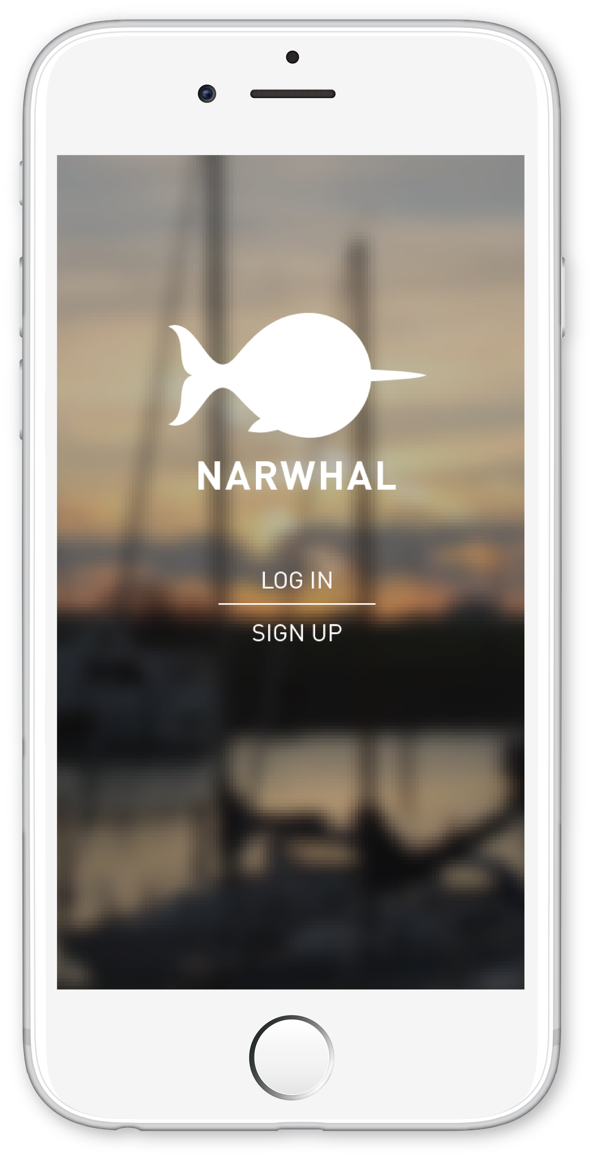 splash screenpng.png