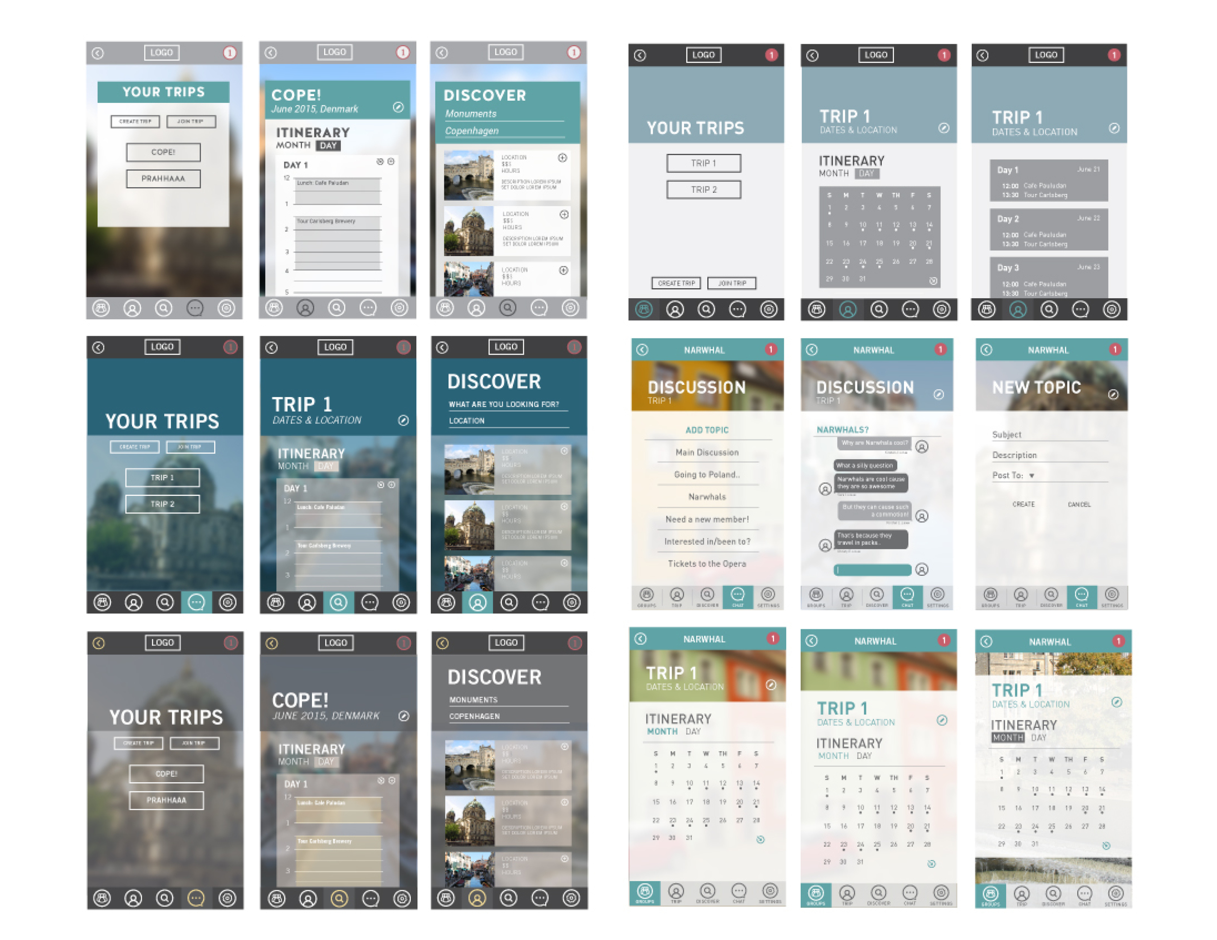 narwhal process3.jpg