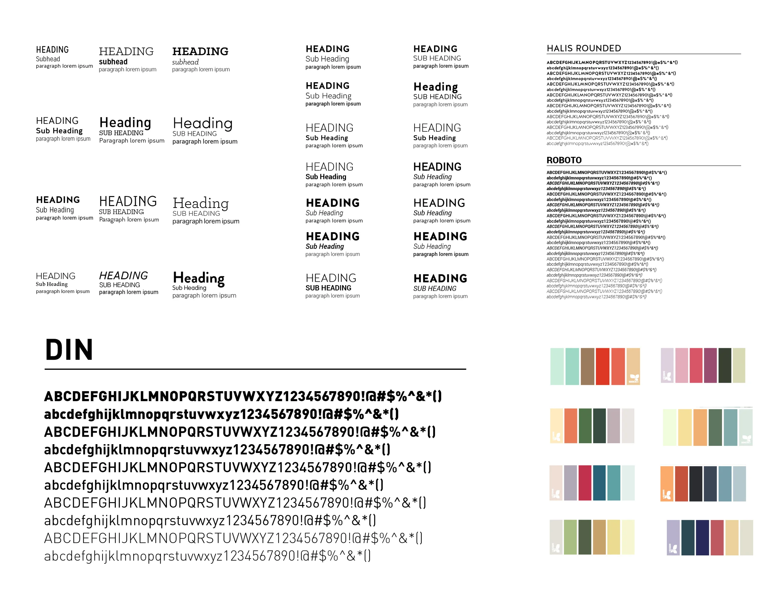 narwhal process2.jpg