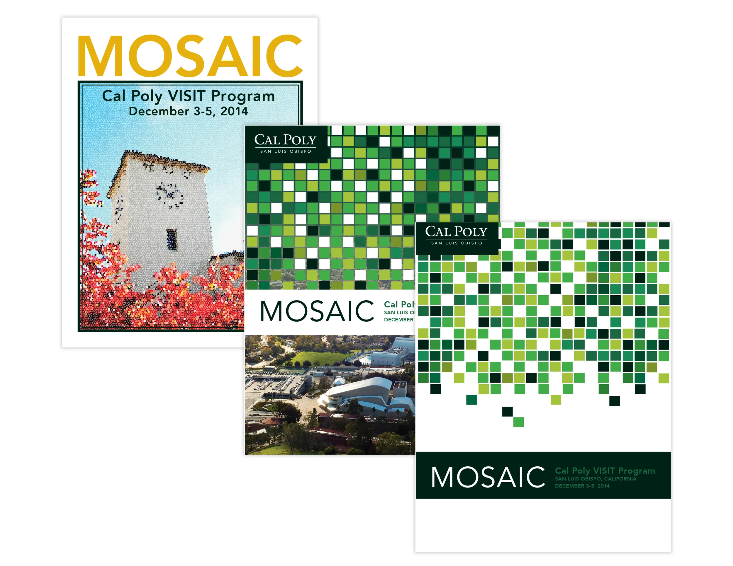 mosaic process2.jpg