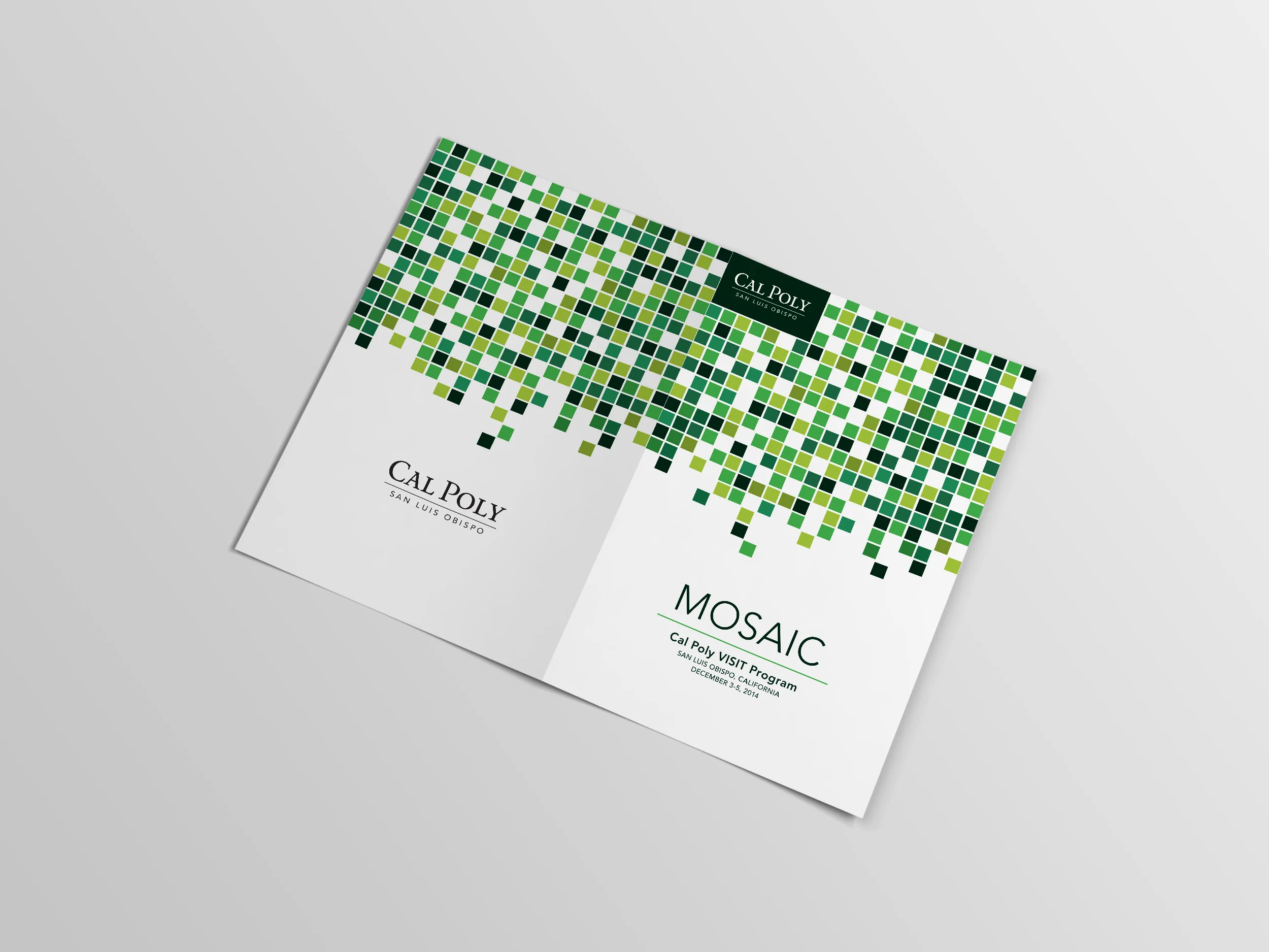 Bifold Mockup - outside.jpg