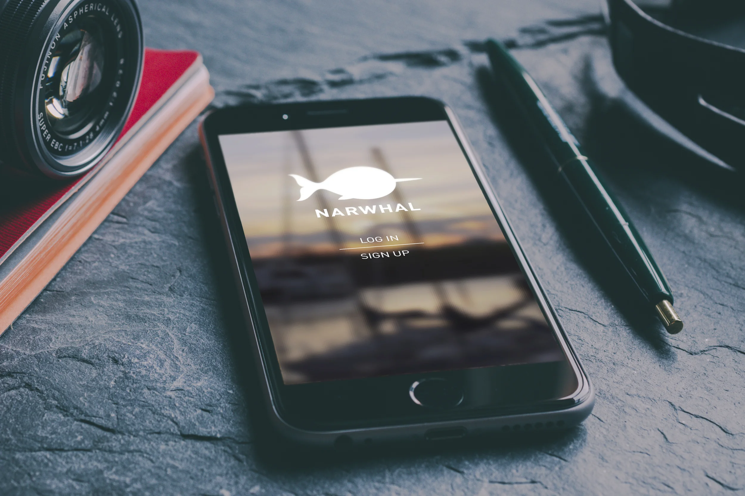 opening screen_mockup.jpg