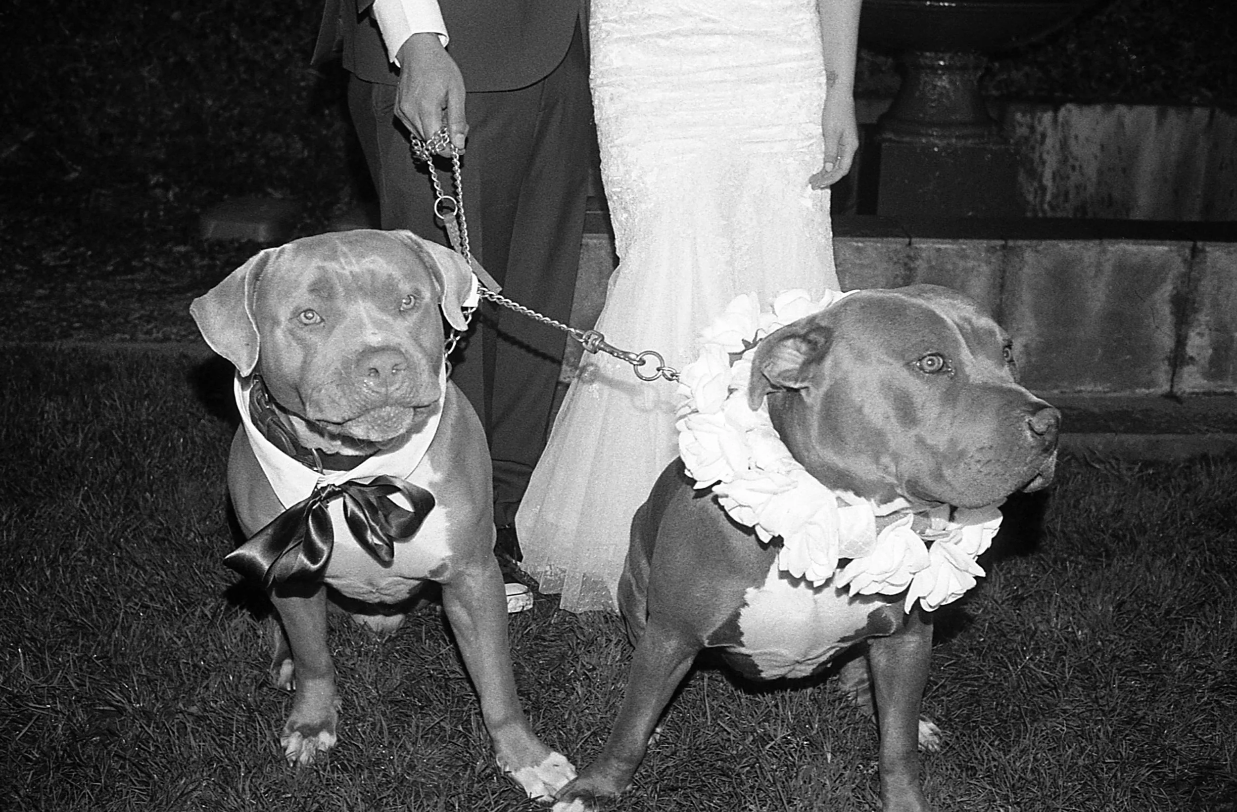 e&fwedding052.jpg
