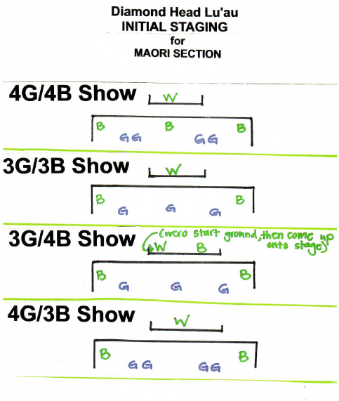 DH_INITIAL_STAGING_FOR_MAORI_SECTION.png