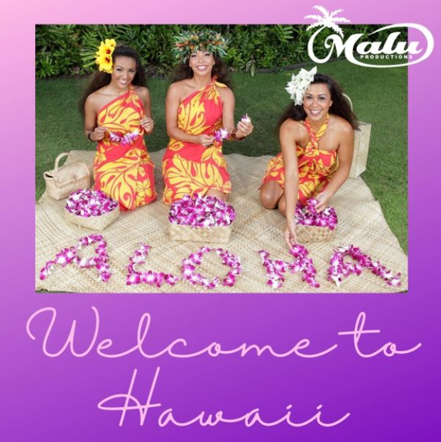 welcome to hawaii.PNG