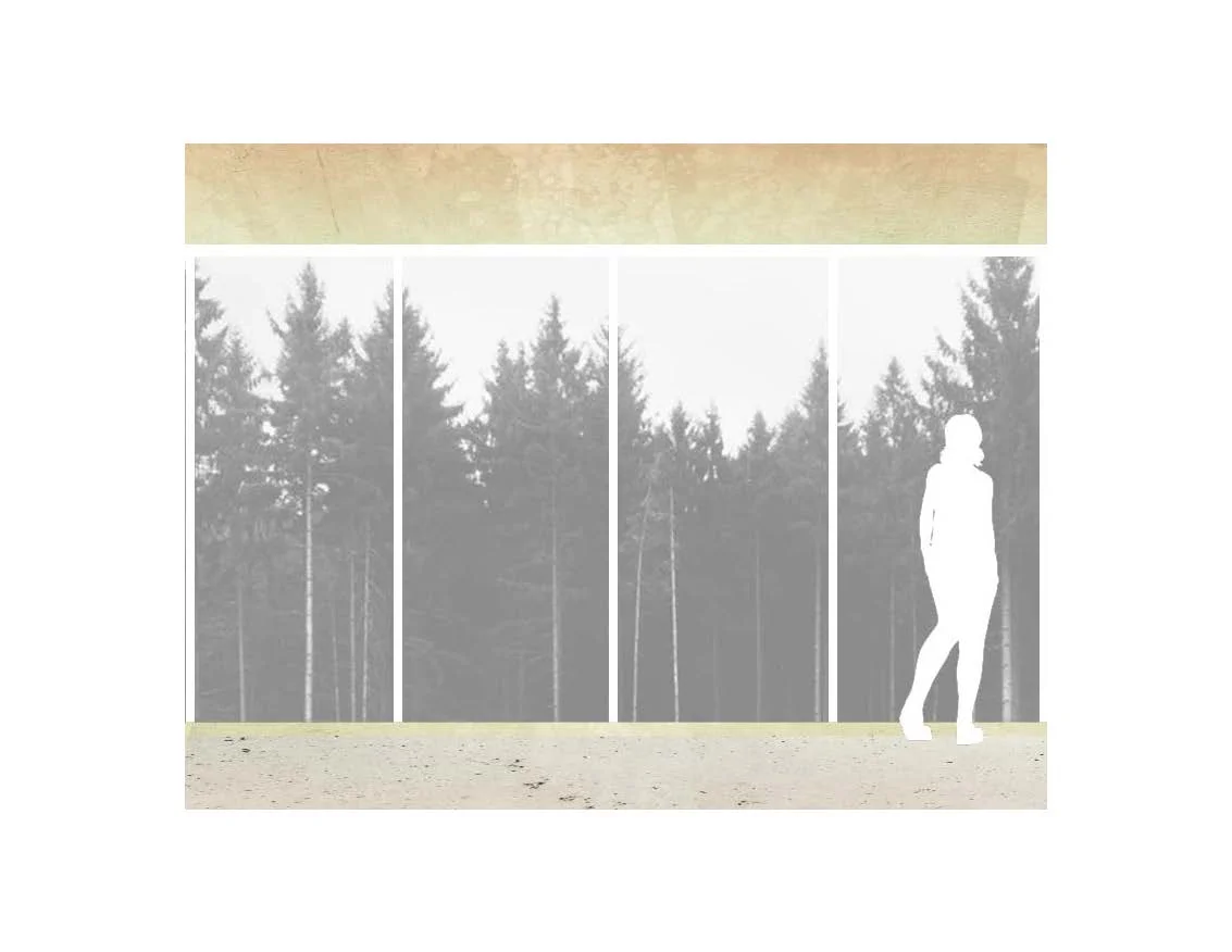 THE FOREST VIEW.jpg