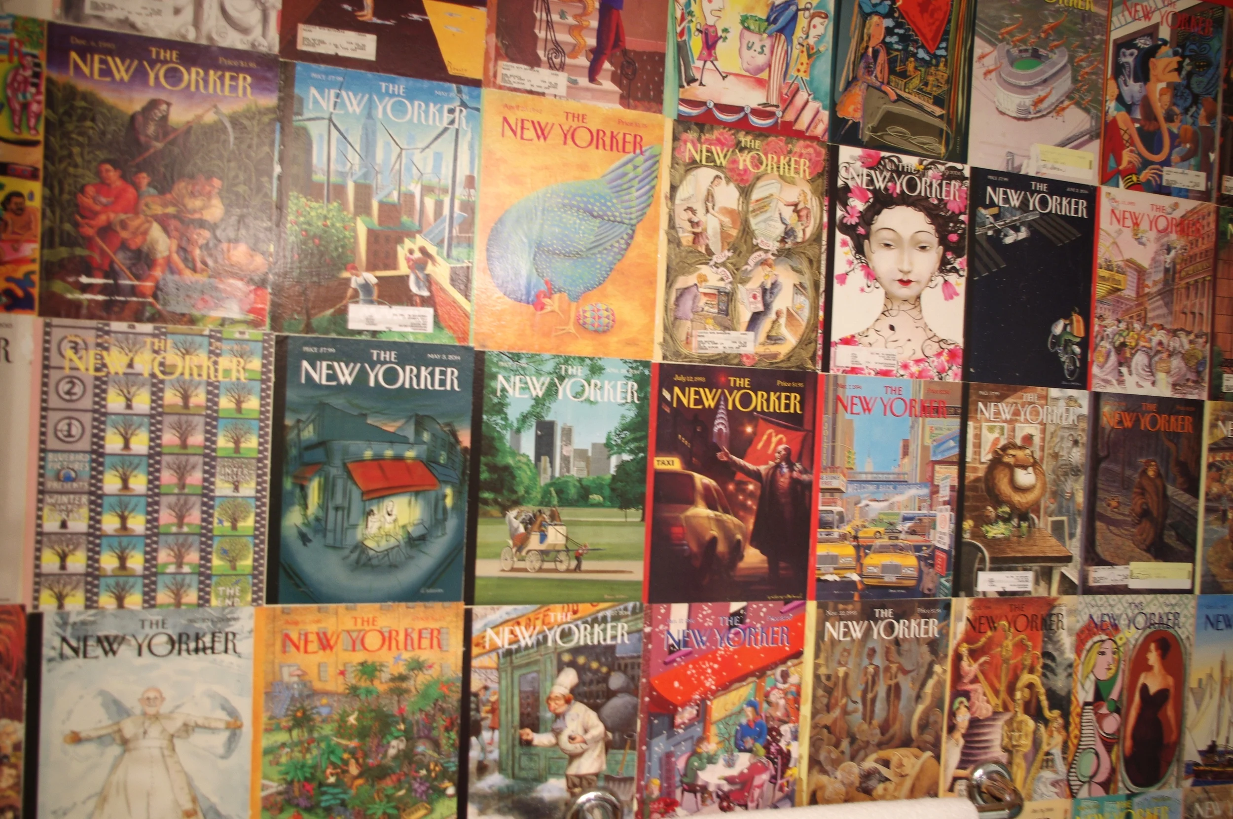 PROJECT PROFILE: A new beginning