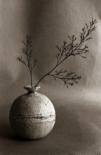 source: petitcabinetdecuriosites.tumblr.com