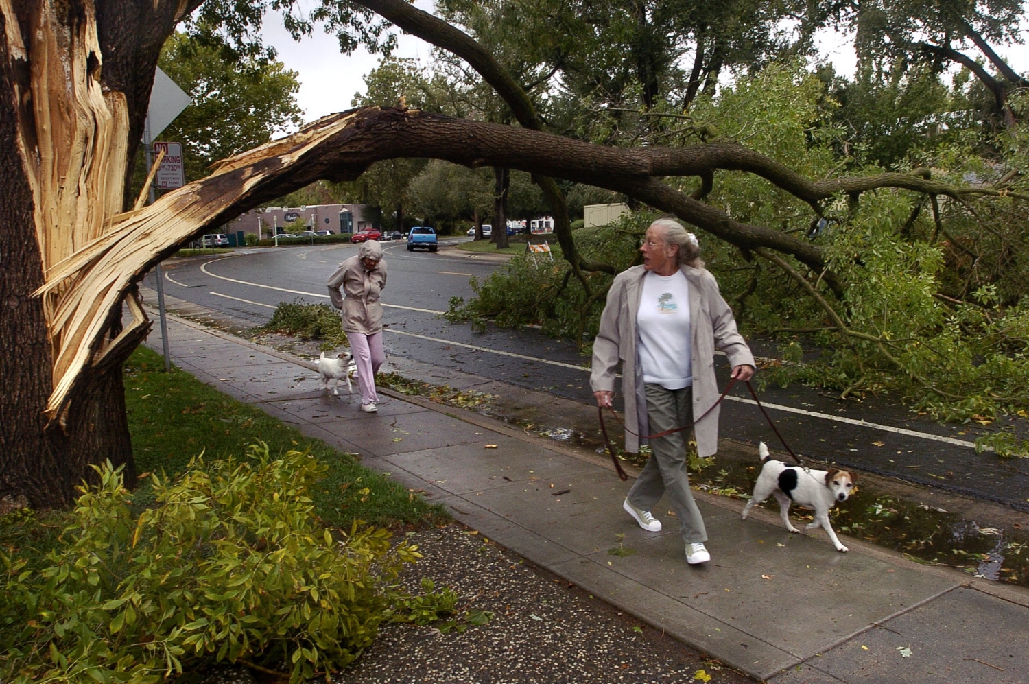 Stacy Hayworth left, and her mother Sue Hayworth duck underneath the broken bough of a wind-damaged tree on C Street near 39th Street in Sacramento on Tuesday October 19, 2004.
