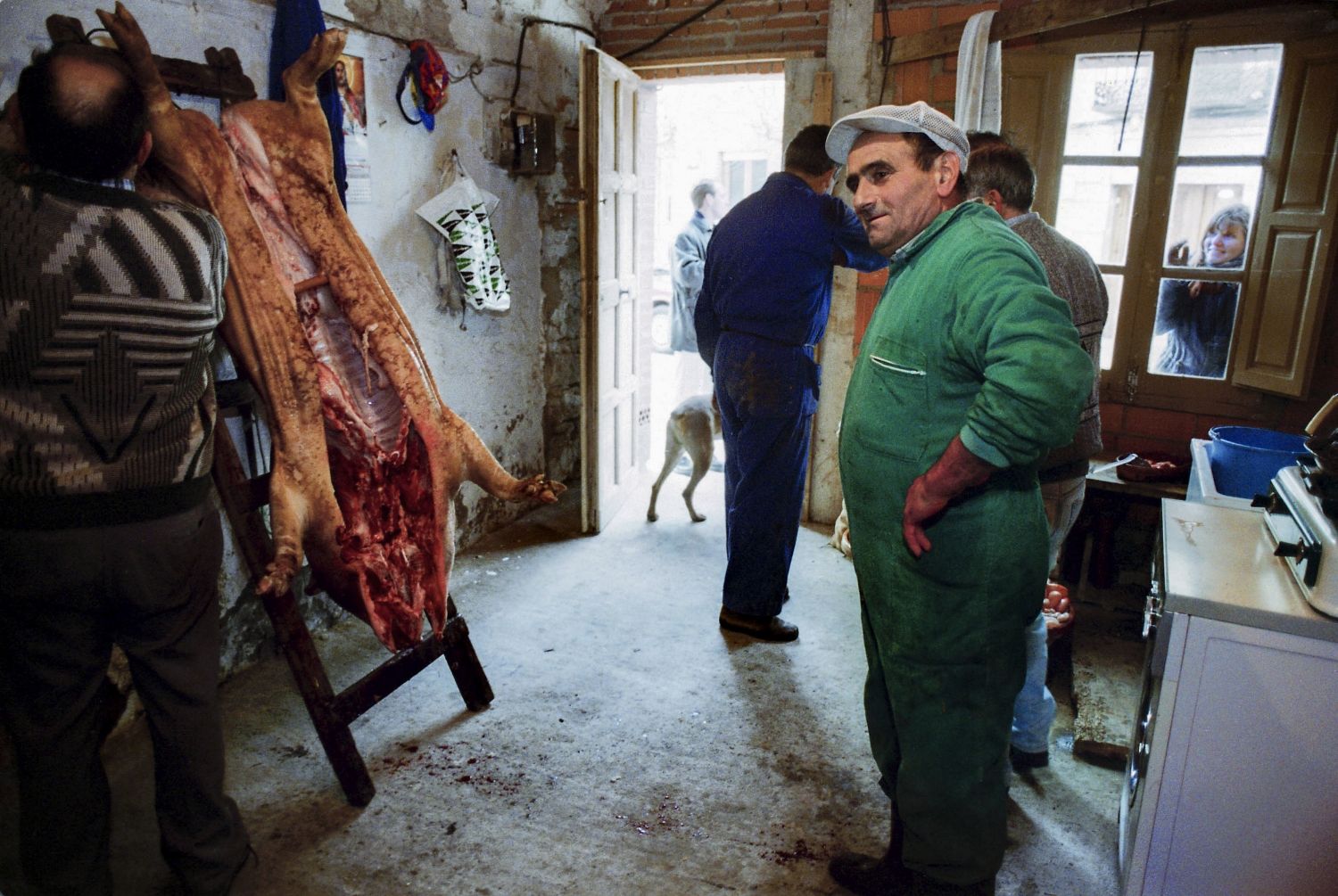 Villagers butcher a pig in their kitchen near Valladolid, Spain in a tradition called 'Matanza de puerco.'