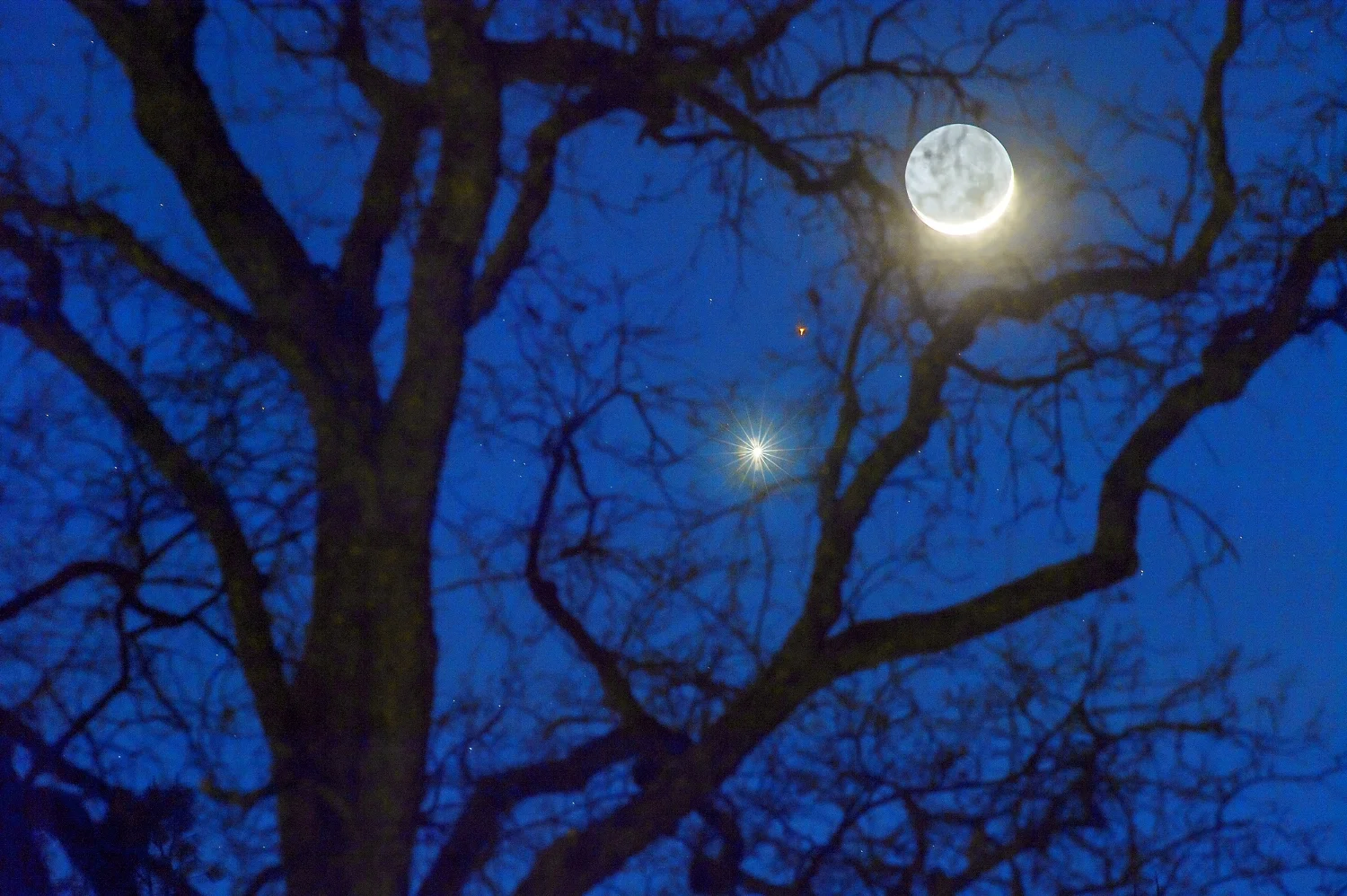 A waxing crescent moon in close proximity in the sky to the planet Venus (bright star in the center of the frame) and Mars (the red speck between two) seen through the branches of a tree in Auburn on Friday, February 20, 2015.