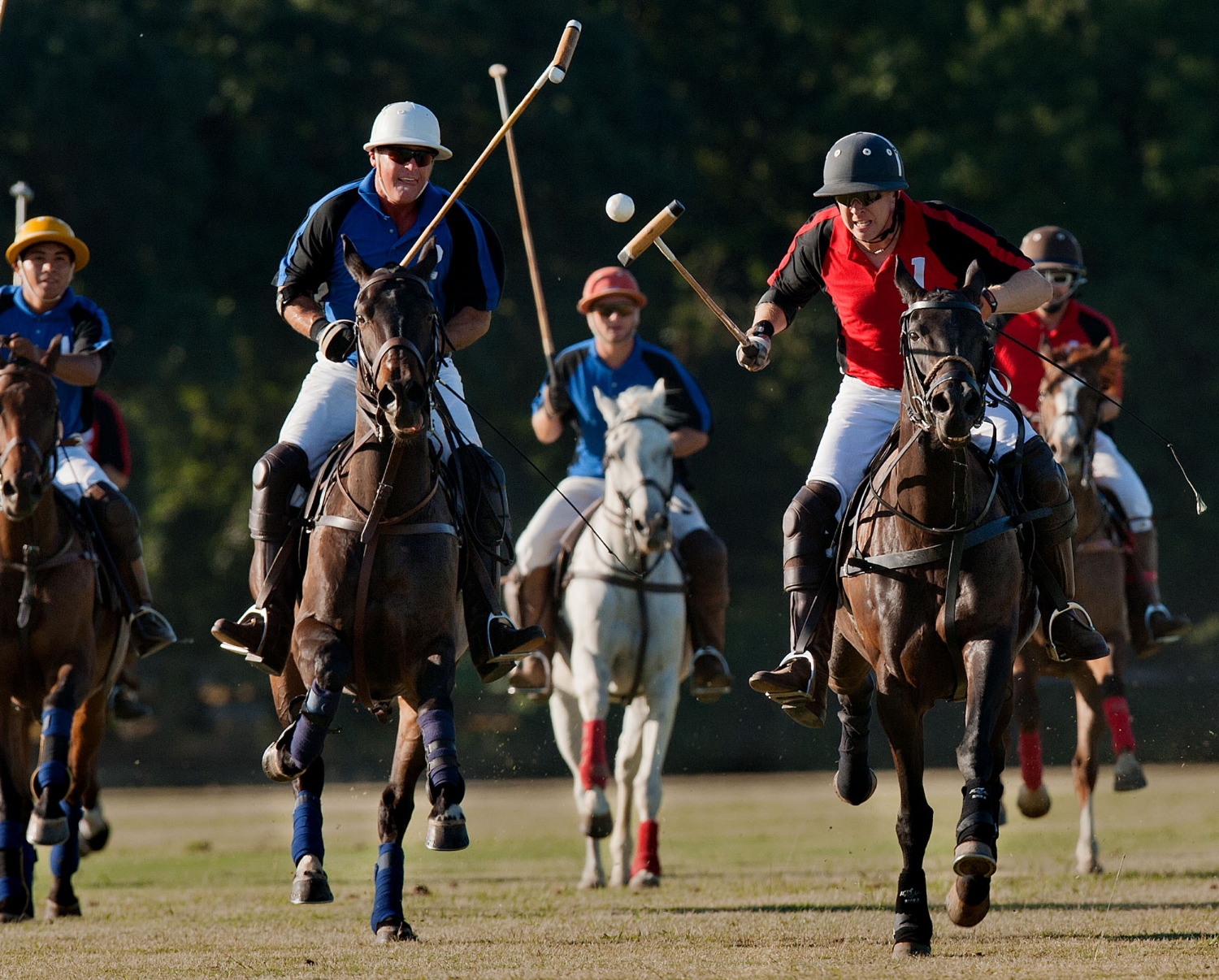  Polo players including Eric Hammon in white helmet, and Cameron Smith of Seattle at Chamberlain Ranch in Wilton on Thursday, June 21, 2012. 