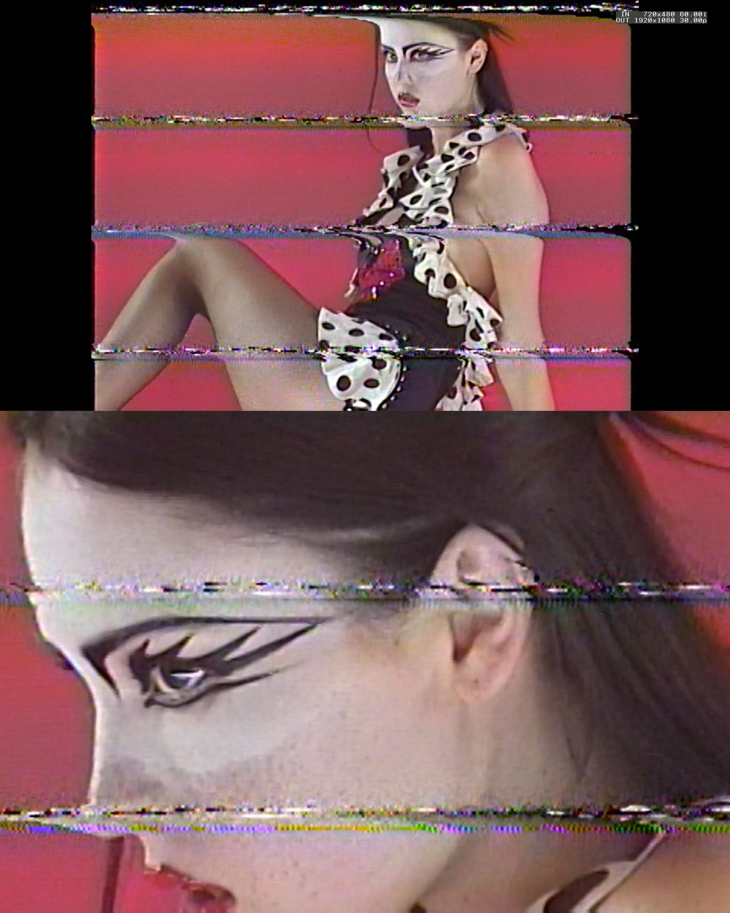 20260626_Mazzy_6.JPG