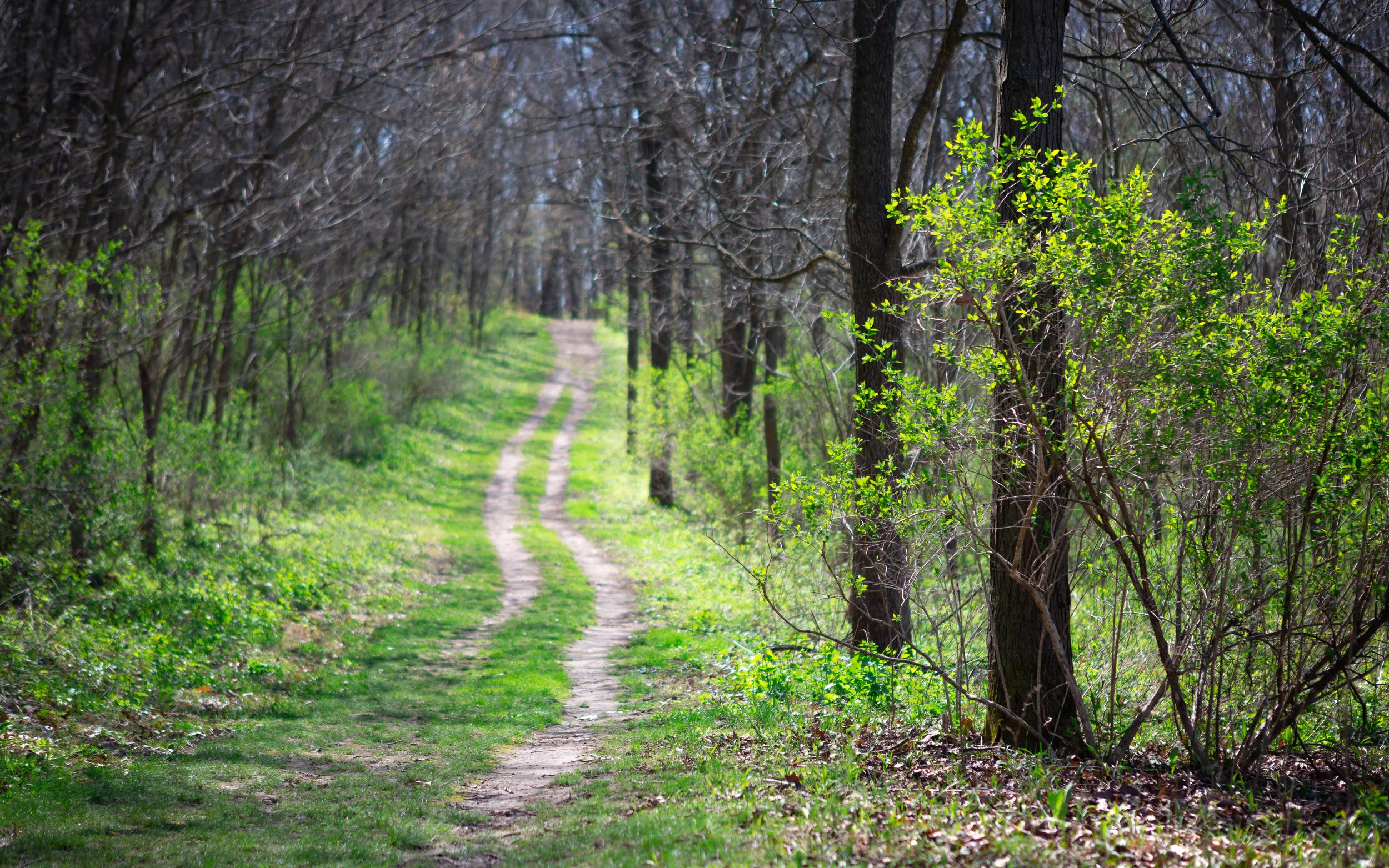 2020 Wisconsin Permaculture Convergence