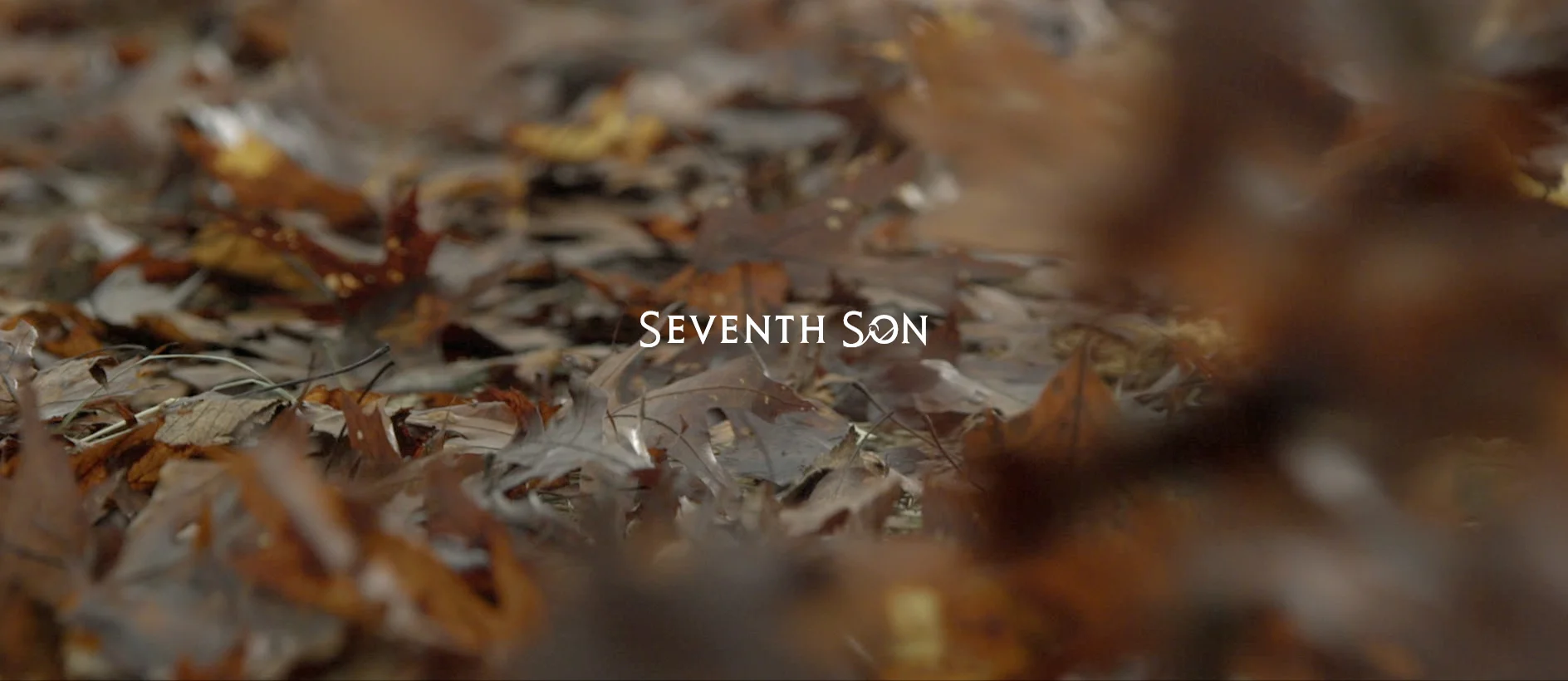 seventhson00.jpg