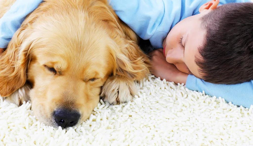 carpetcleaning_banner.jpg