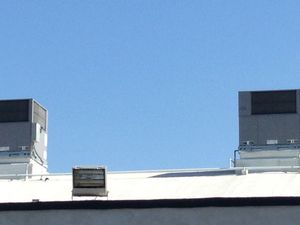 IMG_0331.jpg